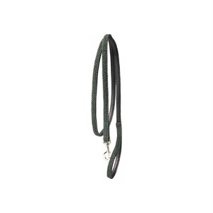 Kentucky Gevlochten Nylon hondenriem